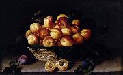 Louise Moillon Basket of Apricots oil painting reproduction